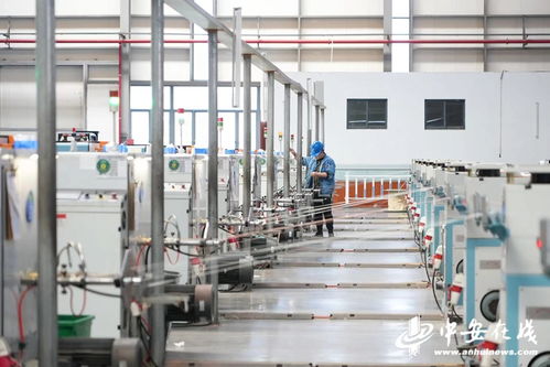 筑夢現代化共繪新圖景 安徽擔當，蕪湖老鄉鳳還巢聚焦綠色智能新材料與教育咨詢服務